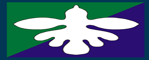 Empower capacities of EWASH to be active player and contributor in the WASH Sector