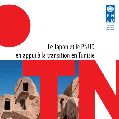 Projet d’appui au processus constitutionnel et parlementaire et au dialogue national