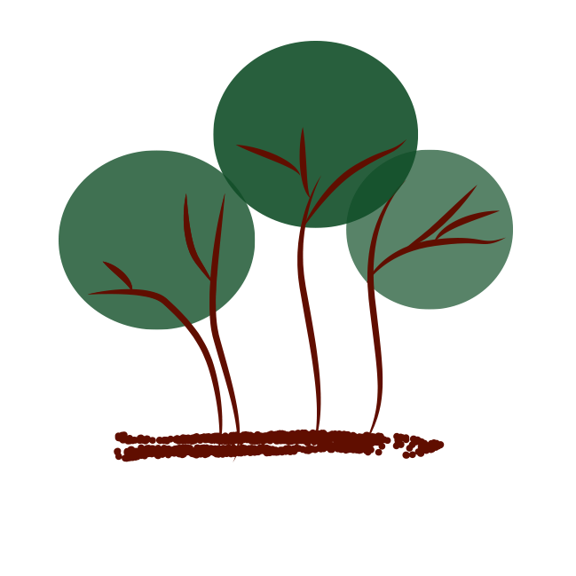 Association Tunisienne de Permaculture