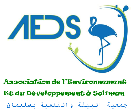 Association de l’Environnement et du Développement de Soliman