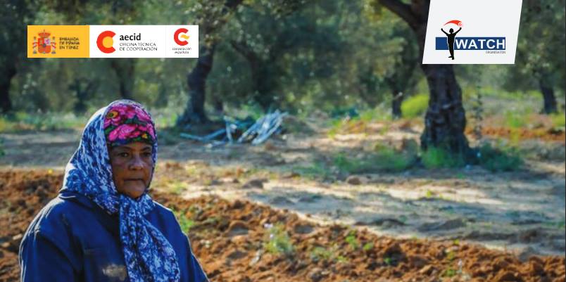 رأي المرأة الريفية في دورها في عملية إتخاذ القرار